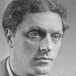 Han van Dam
