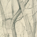 tekening